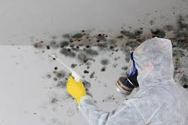 Best Emergency Mold Remediation  in Exandria, AL